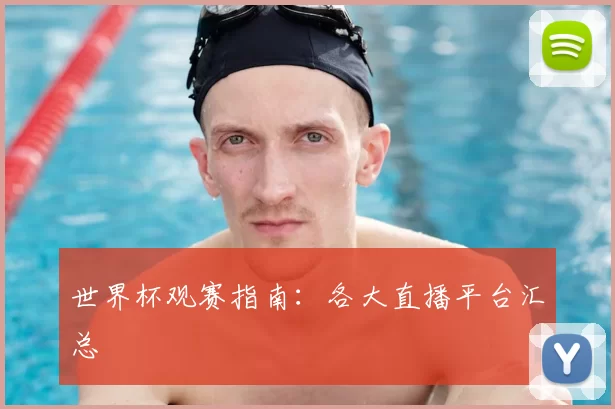 世界杯观赛指南:各大直播平台汇总