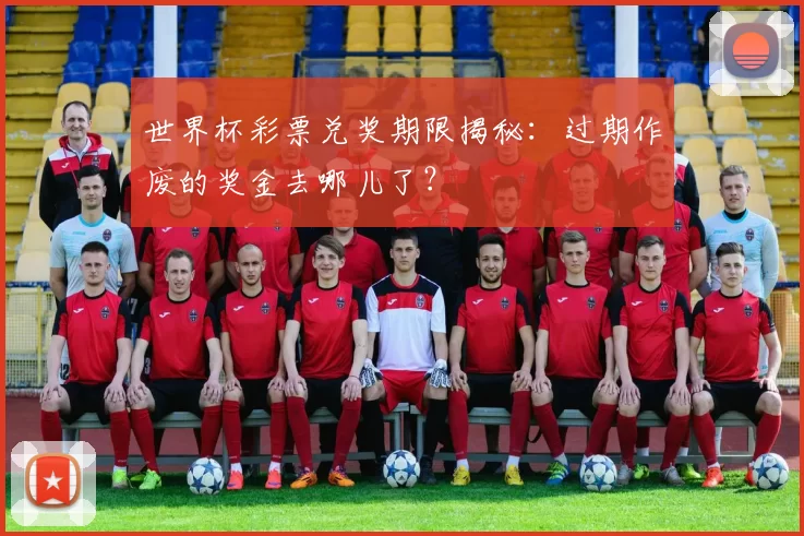 世界杯彩票兑奖期限揭秘:过期作废的奖金去哪儿了?