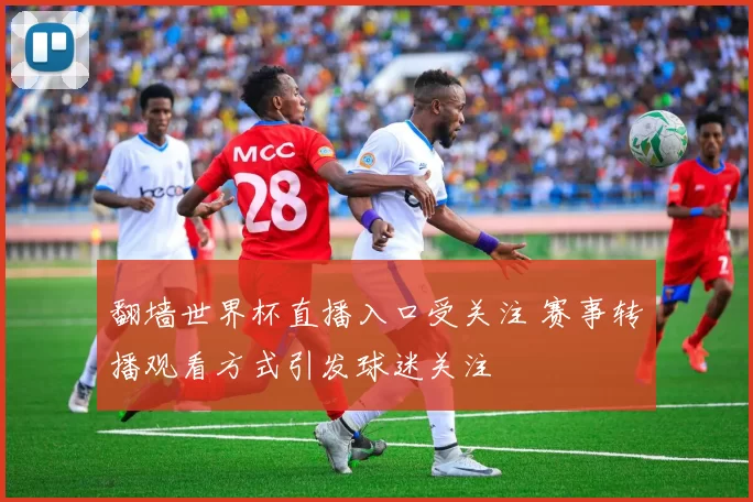 翻墙世界杯直播入口受关注 赛事转播观看方式引发球迷关注