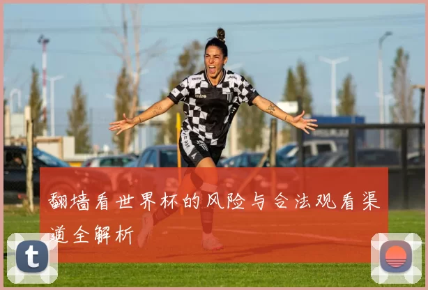 翻墙看世界杯的风险与合法观看渠道全解析