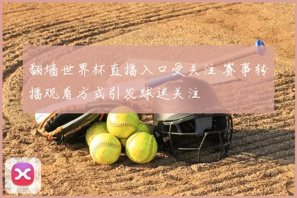 翻墙世界杯直播入口受关注 赛事转播观看方式引发球迷关注