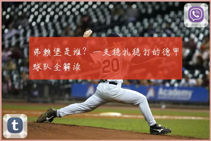 弗赖堡是谁？一支稳扎稳打的德甲球队全解读