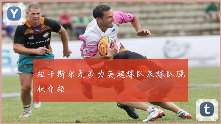 纽卡斯尔是否为英超球队及球队现状介绍