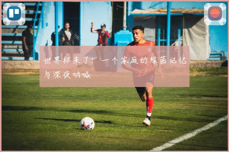 世界杯来了：一个家庭的绿茵记忆与深夜呐喊