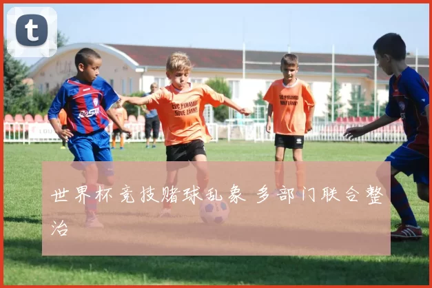 世界杯竞技赌球乱象 多部门联合整治