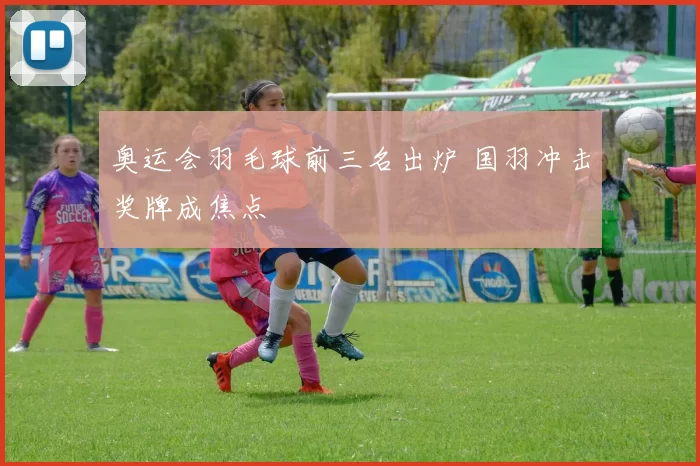 奥运会羽毛球前三名出炉 国羽冲击奖牌成焦点