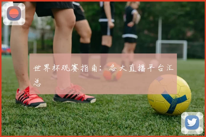 世界杯观赛指南:各大直播平台汇总