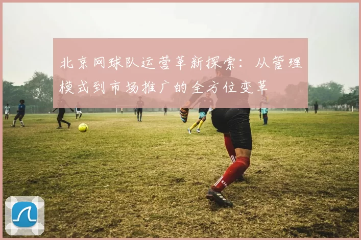 北京网球队运营革新探索:从管理模式到市场推广的全方位变革