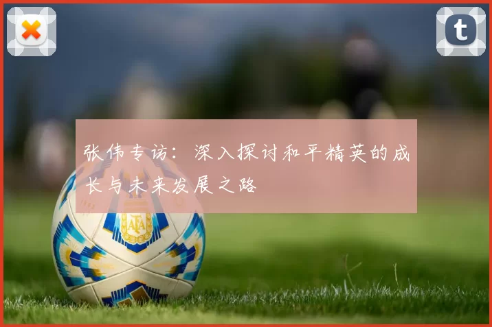 张伟专访:深入探讨和平精英的成长与未来发展之路