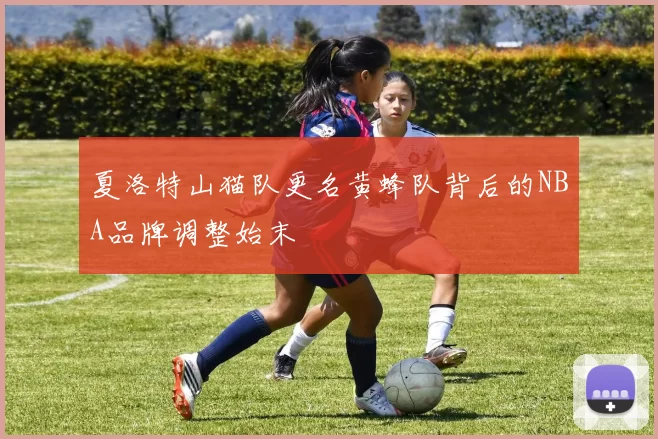 夏洛特山猫队更名黄蜂队背后的NBA品牌调整始末