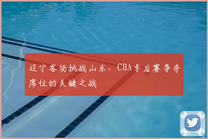 辽宁客场挑战山东,CBA季后赛争夺席位的关键之战
