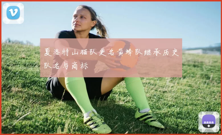夏洛特山猫队更名黄蜂队继承历史队名与商标
