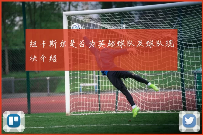 纽卡斯尔是否为英超球队及球队现状介绍
