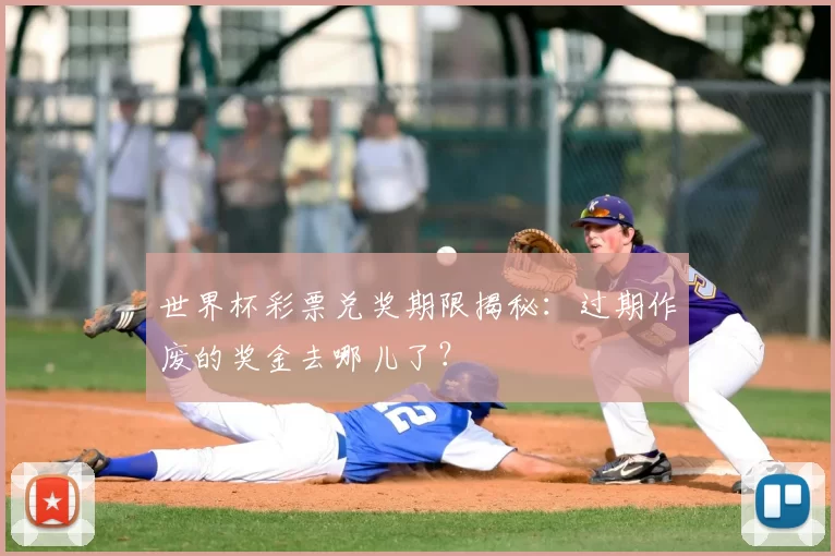 世界杯彩票兑奖期限揭秘:过期作废的奖金去哪儿了?