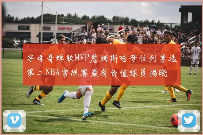 字母哥蝉联MVP詹姆斯哈登位列票选第二NBA常规赛最有价值球员揭晓
