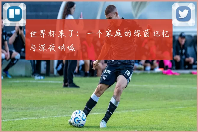 世界杯来了:一个家庭的绿茵记忆与深夜呐喊